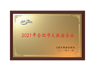 Empresa de Big Data de Hefei en 2021